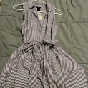 Ann Taylor Knee Length Striped Dress